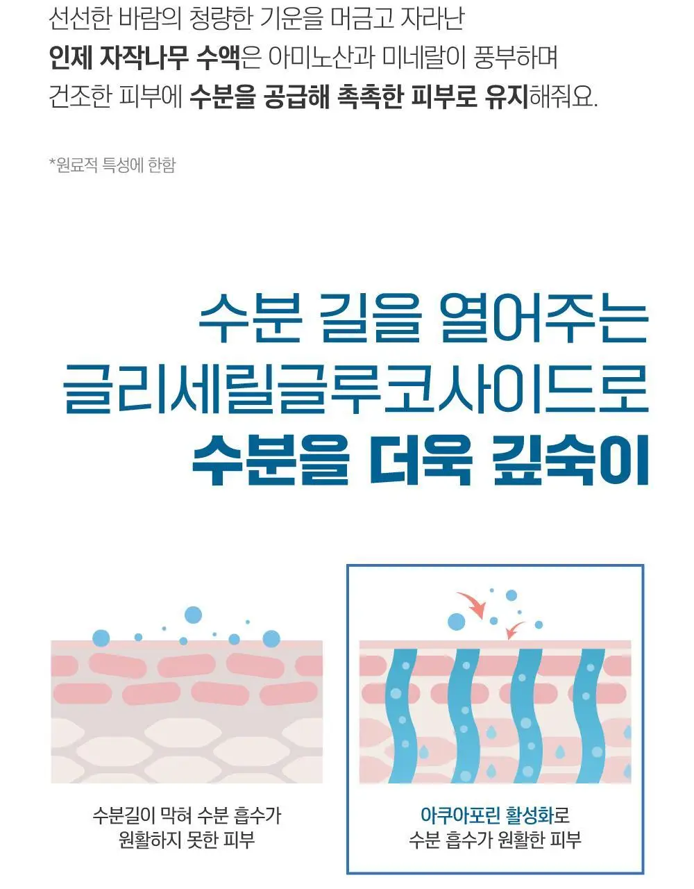 [4월 한정/선스틱 증정] 라운드랩 자작나무 수분 톤업 선크림 50ml 1+1 기획 (+소나무 선스틱 10g) 상세페이지 11
